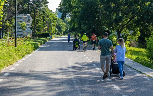 Sute de arbori, vizați de tăiere. Primăria să asculte vocea oamenilor