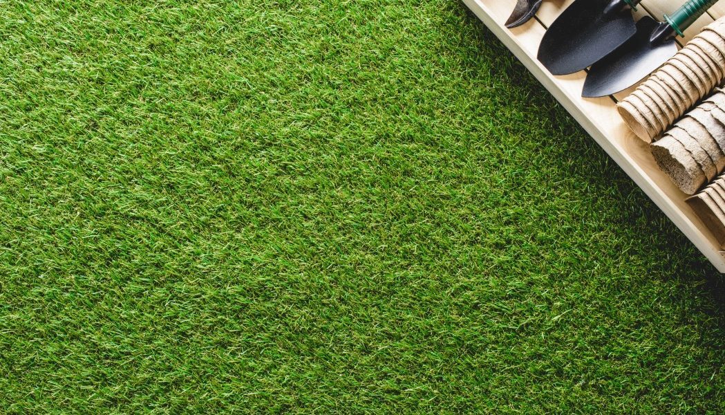 Caniculă: Cum salvezi gazonul îngălbenit fără replantare