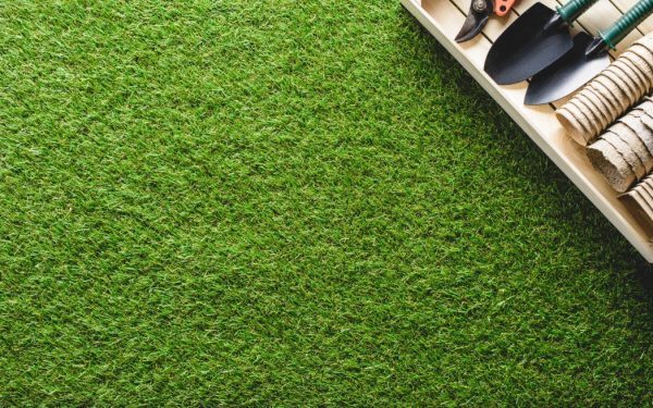 Caniculă: Cum salvezi gazonul îngălbenit fără replantare