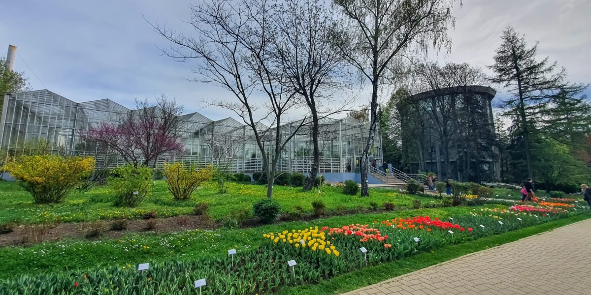 România: Prima Grădină Botanică e istorie