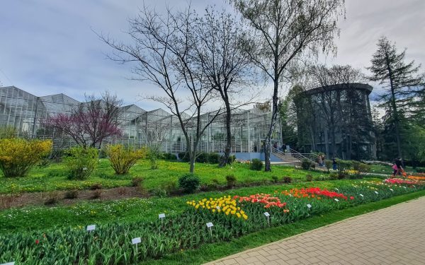 România: Prima Grădină Botanică e istorie