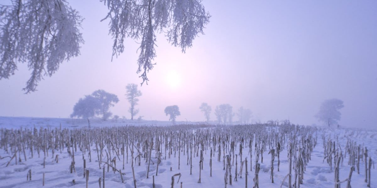 El Nino răstoarnă iarna 2026-2027: ce ne așteaptă în Europa