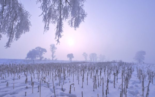 El Nino răstoarnă iarna 2026-2027: ce ne așteaptă în Europa