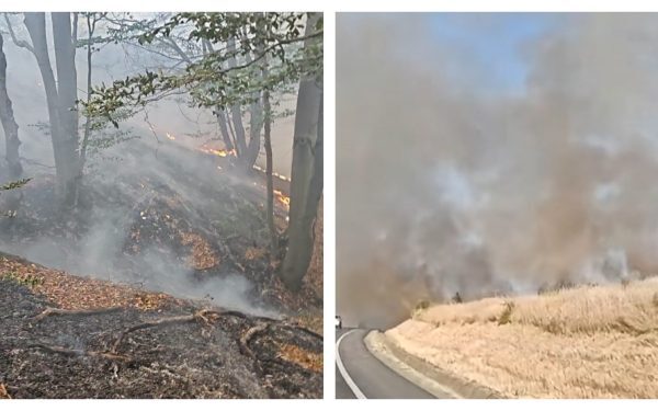 Foc în Munții VESTULUI! Peste 250 ha arse, 300 de oameni luptă cu flăcările lângă Băile Herculane