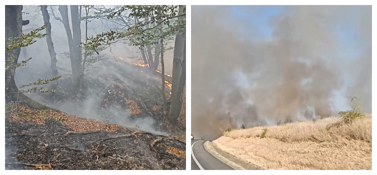 Foc în Munții VESTULUI! Peste 250 ha arse, 300 de oameni luptă cu flăcările lângă Băile Herculane