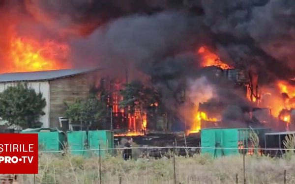 Incendiu de proporții în Lumina: RO-Alert activat