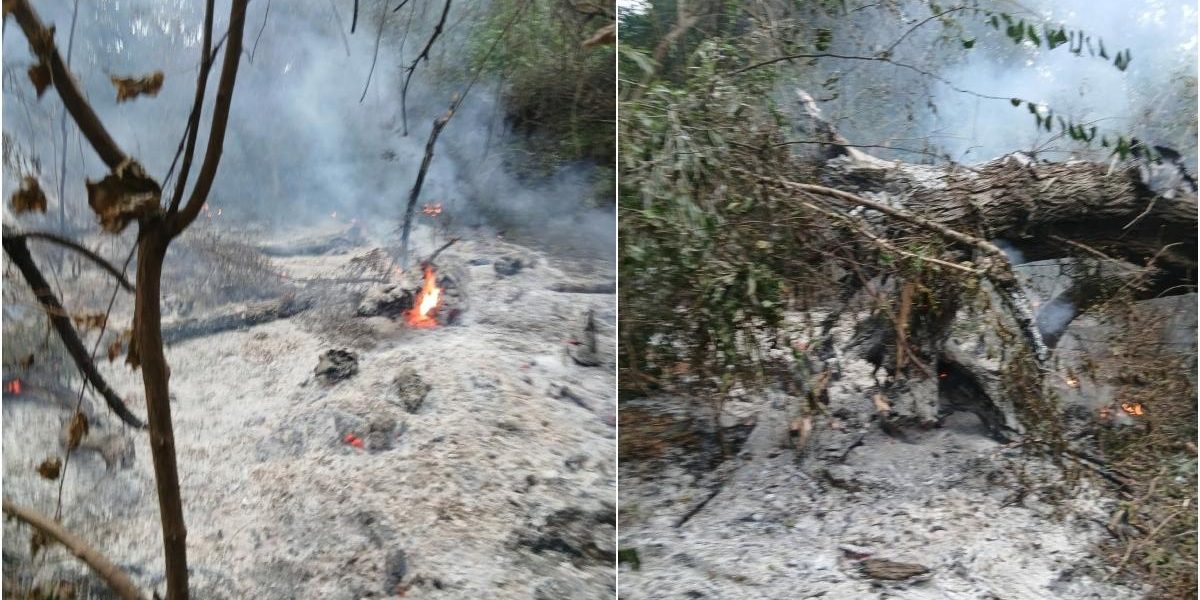 Incendiu Plauru: Dronă în flăcări, acuze Romsilva
