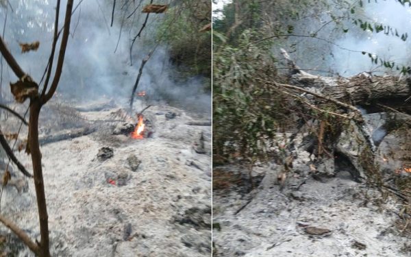 Incendiu Plauru: Dronă în flăcări, acuze Romsilva