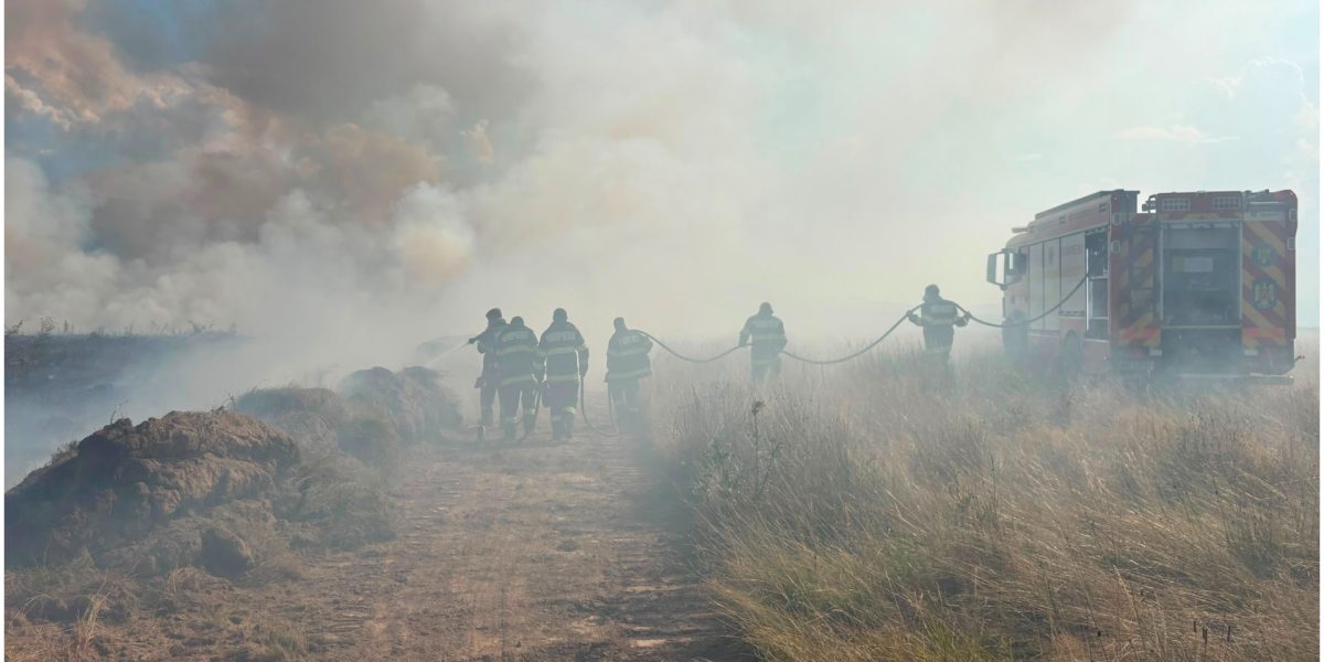 Sibiu: Foc pe Valea Avrigului. Intervenție de urgență a pompierilor