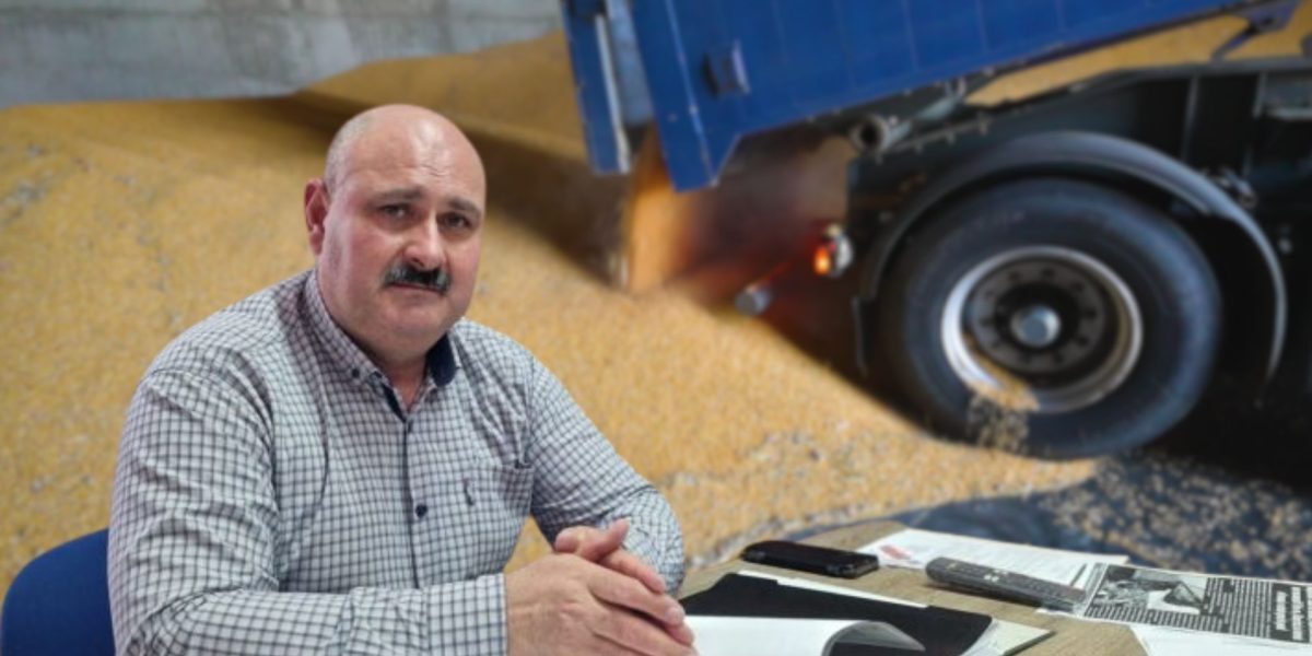 Primarul Ciocan: despăgubiri secetă, apoi porumb-record vândut