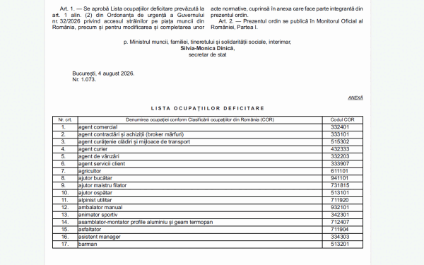 Noi joburi pentru străini. Lista deficitarelor, actualizată