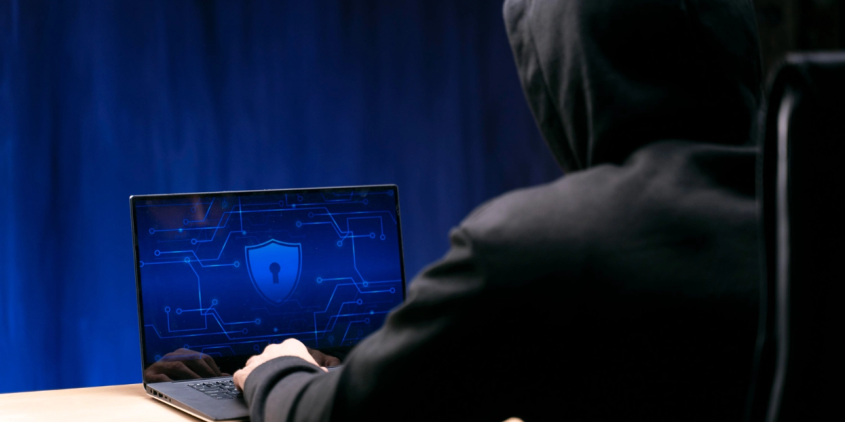 Hacker NASA: Cum arată infractorul cibernetic din India pentru bani și faimă