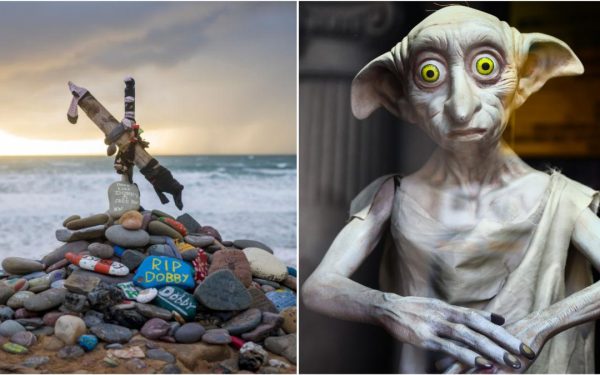 Proiect energetic 430 mil. lire, blocat de mormântul lui Dobby. Fanii Harry Potter furioși