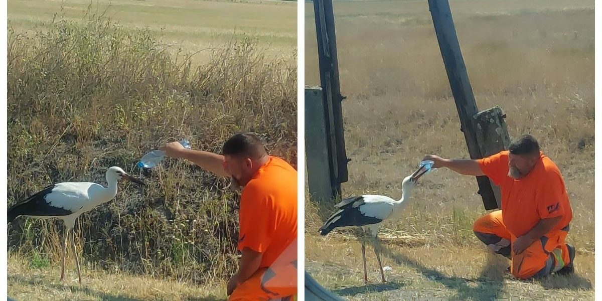 Muncitor la Drumuri, Erou Național în Ungaria