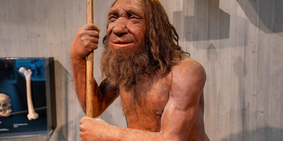 Moștenirea Neanderthal: Genă pentru mușchi, doar pentru unii oameni