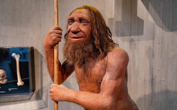 Moștenirea Neanderthal: Genă pentru mușchi, doar pentru unii oameni