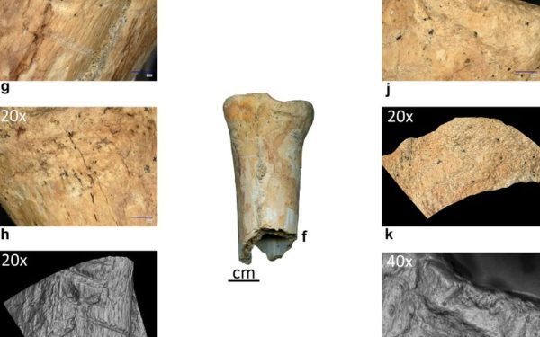 Neandertalienii foloseau unelte din os în România: premieră istorică