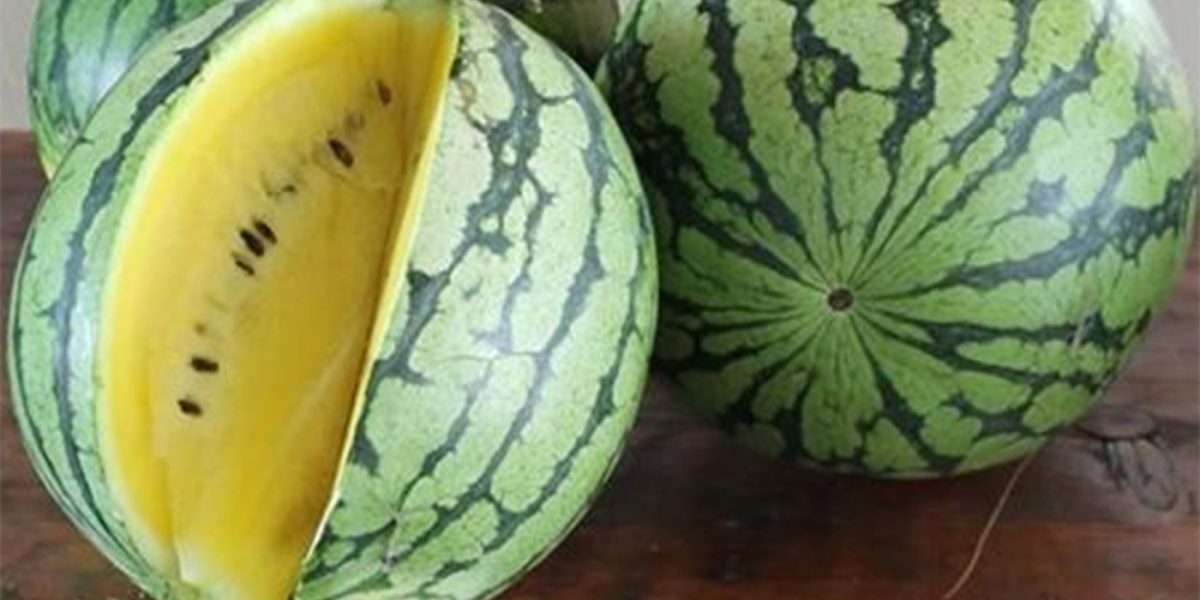 Pepene galben: E bun de consum sau nu? Adevărul despre miezul său