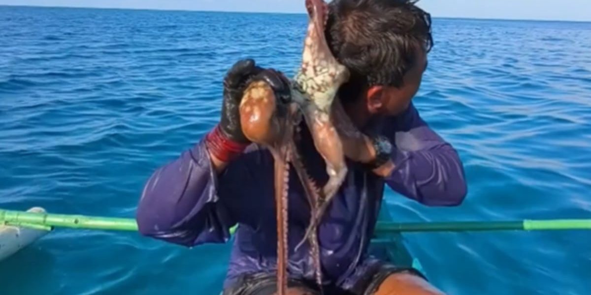 Pescar atacat de caracatiță pe față în Filipine