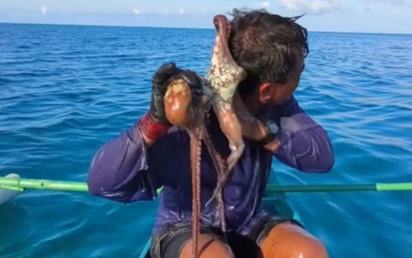 Pescar atacat de caracatiță pe față în Filipine