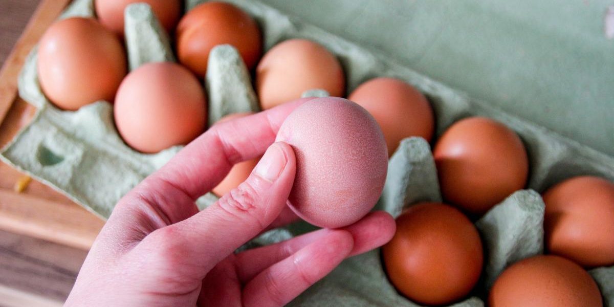Salmonella în Europa: Peste 300 de cazuri, ouă contaminate în 4 țări