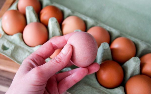 Salmonella în Europa: Peste 300 de cazuri, ouă contaminate în 4 țări
