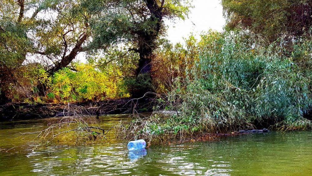 Horeca cere canal curat în Deltă: „Nu e pe un drum național”