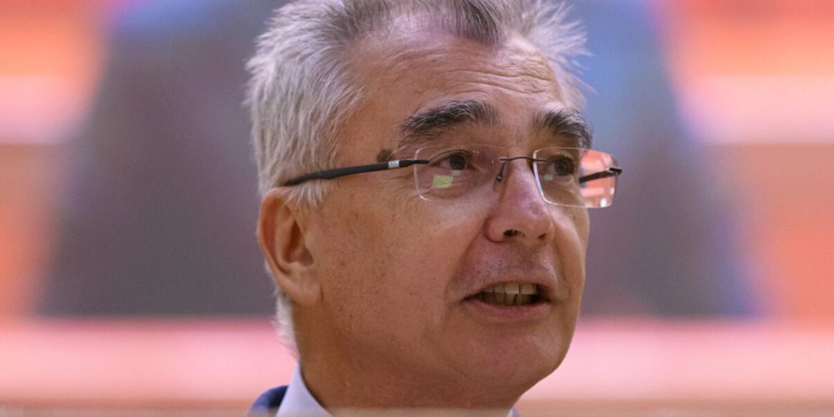 AUR o țintește pe Diana Buzoianu
