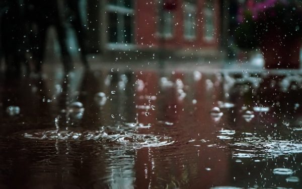 București: caniculă, apoi furtuni. Două coduri galbene sâmbătă