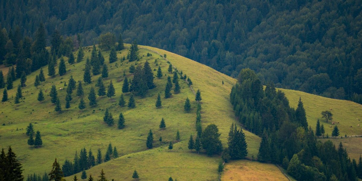 Legea Biodiversității: 972 mil. € vs. Realitatea din România