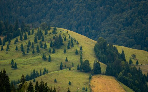 Legea Biodiversității: 972 mil. € vs. Realitatea din România