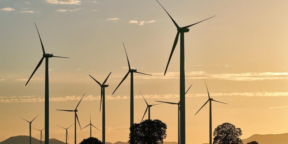 Bușoi, după oprire: Vântul salvează România cu 1.500 MW