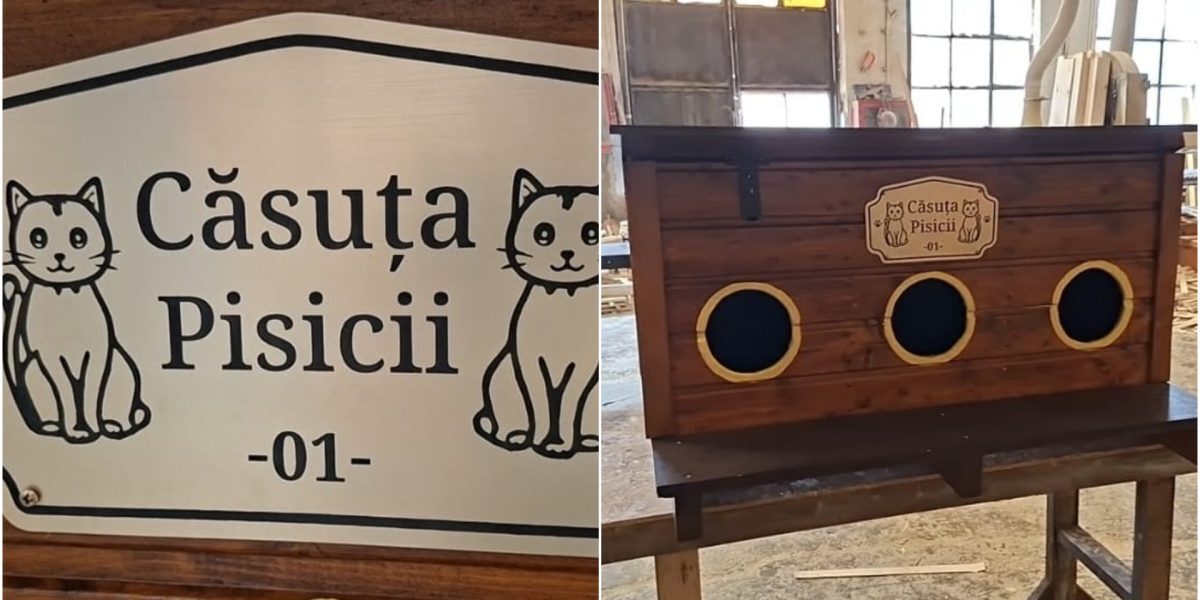 Arad: Căsuțe gratis pentru pisicile străzii
