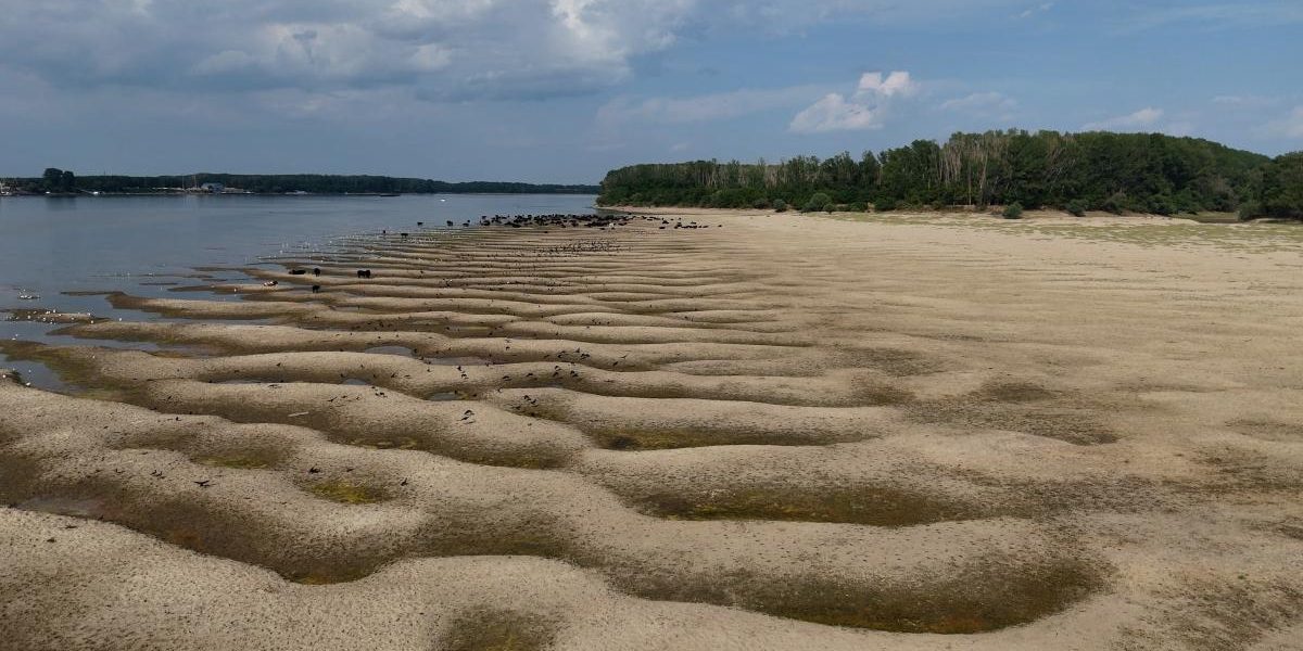 Europa, în prag de criză: UE nu are rezerve strategice pentru secetă