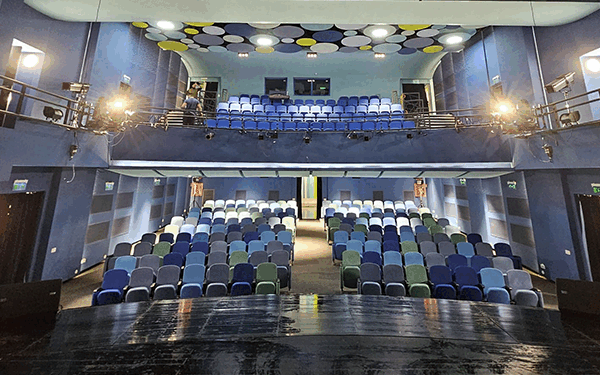 Teatrele de copii din București: Tehnologie, incluziune și venituri proprii