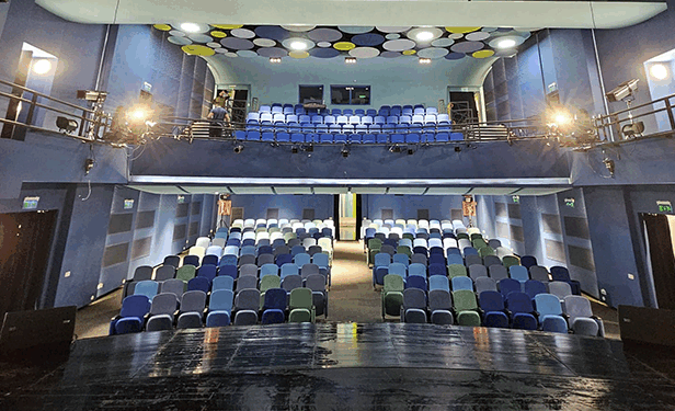 Teatrele de copii din București: Tehnologie, incluziune și venituri proprii