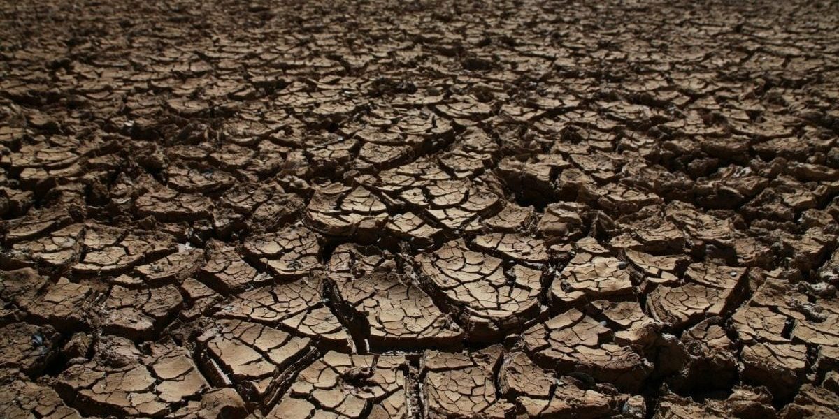 Tibrul, minim istoric: 15 ani de prăbușire