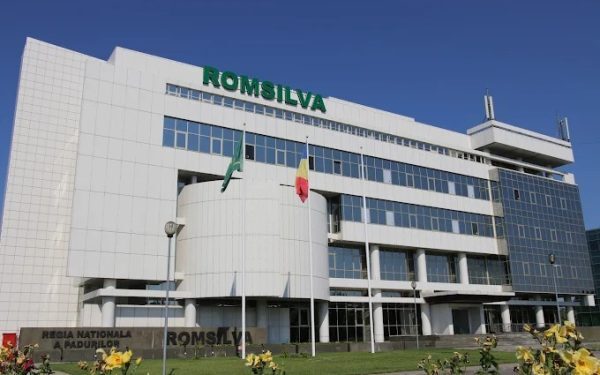 Romsilva, pe podium la contracte: doar Moinești în față