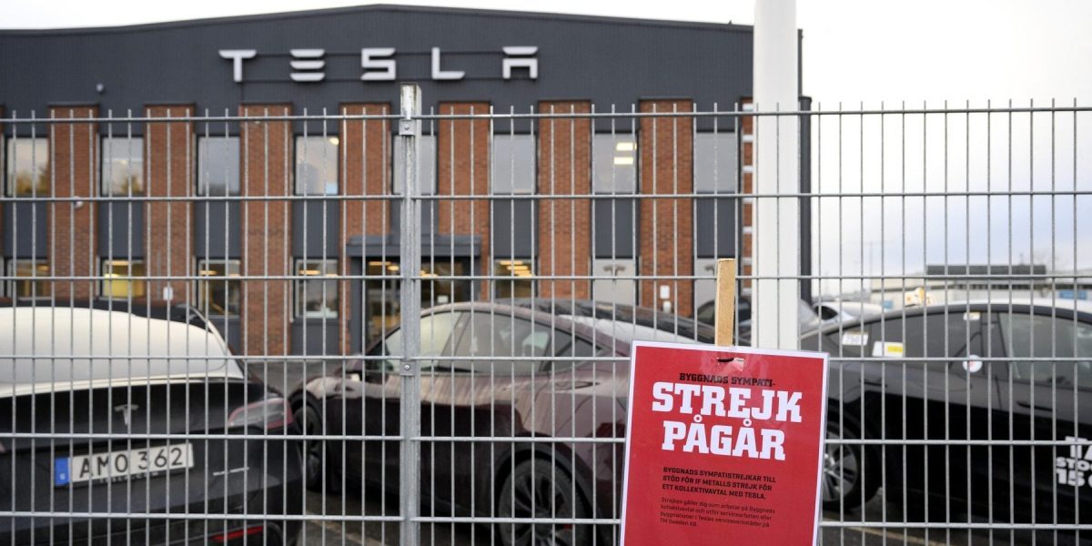 Tesla și Musk, victorioși în Suedia. Sindicatele, la capăt de drum