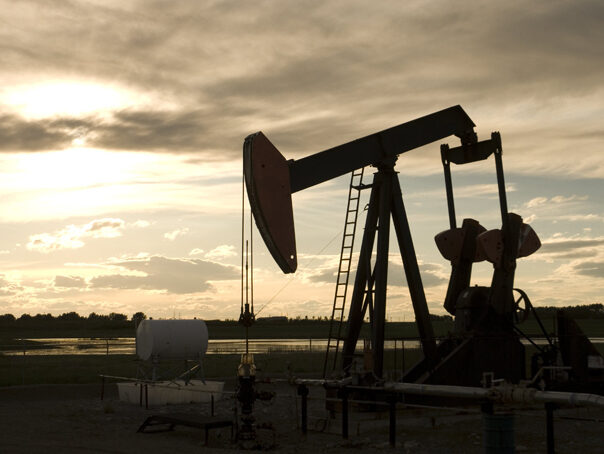 Foraj Sonde Videle cumpără activitatea petrolieră Transgex pe bursă