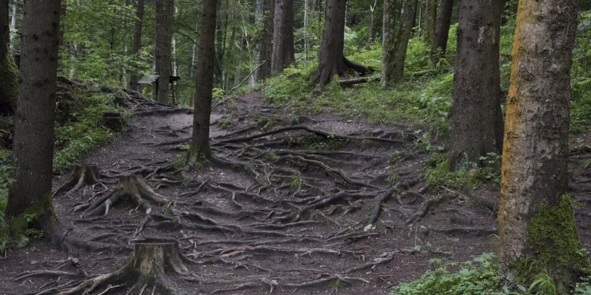 Obligatoriu echipament: autoritățile avertizează doritorii