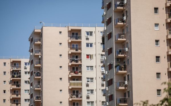Vecinul distruge casa? Ce faci dacă refuză reparația