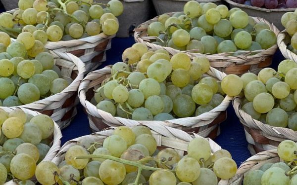 Pesticide UE stricte: cafeaua, strugurii, citricele, primele afectate
