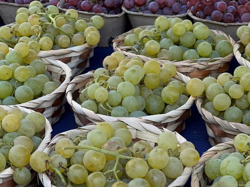 Pesticide UE stricte: cafeaua, strugurii, citricele, primele afectate