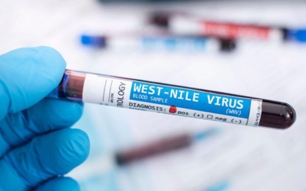 Grecia, alertă West Nile: Călătorii români vizați