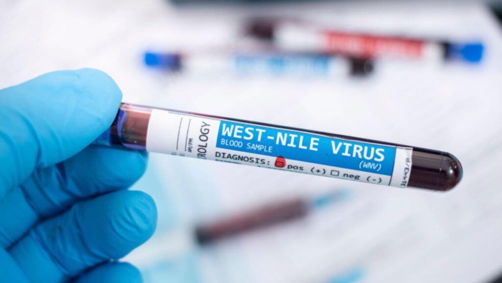 Grecia, alertă West Nile: Călătorii români vizați