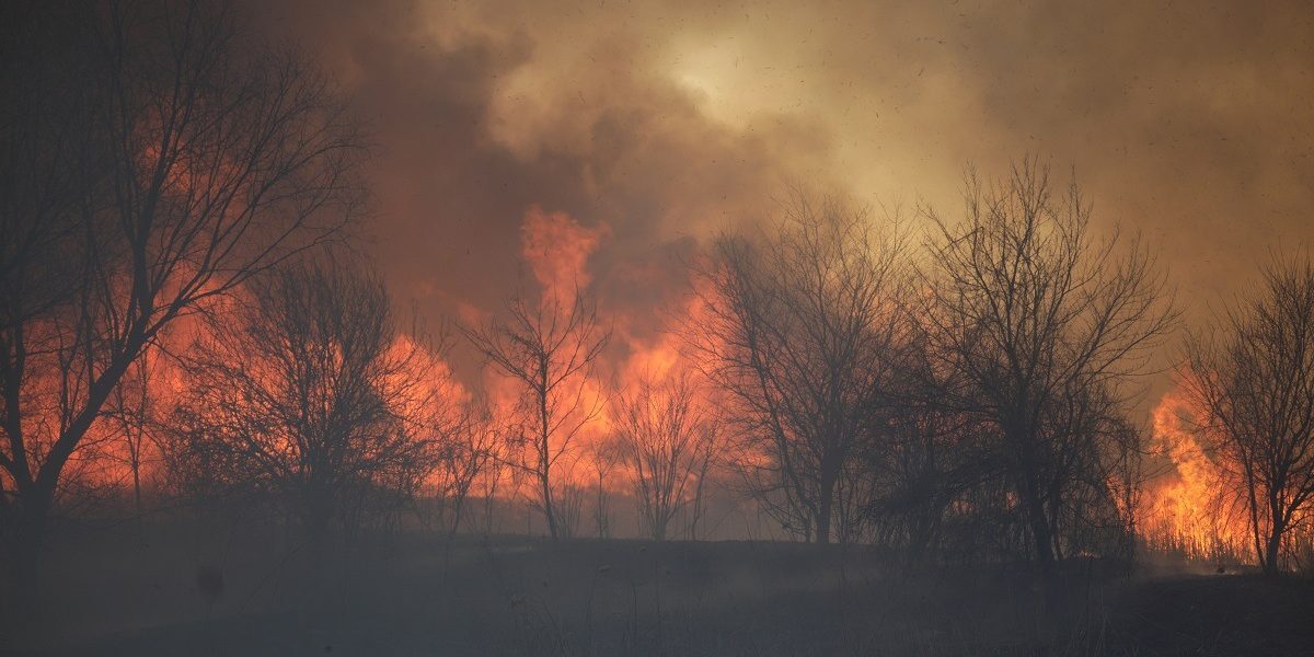 Incendiu devastator în Caraș-Severin, pompierii luptă cu focare