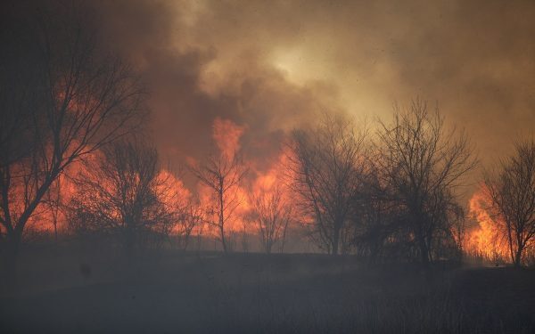 Incendiu devastator în Caraș-Severin, pompierii luptă cu focare