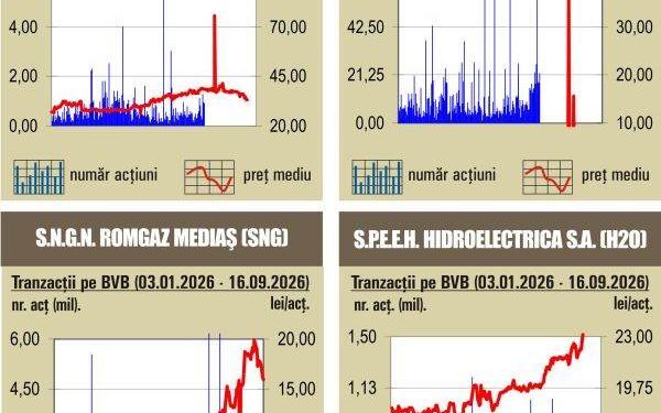 BVB suferă corecție: Bursa în roșu