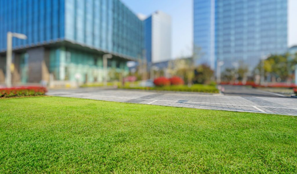 Spațiu de birouri sau flexibil? Alegerea marilor afaceri